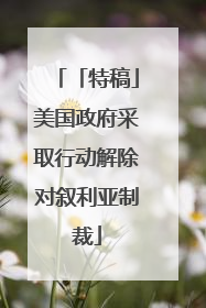 「特稿」美国政府采取行动解除对叙利亚制裁
