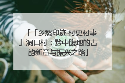 「乡愁印迹·村史村事」洞口村：黔中腹地的古韵新章与振兴之路