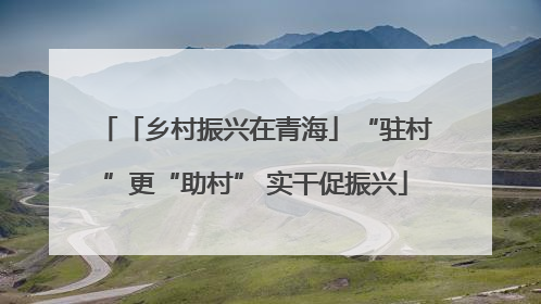 「乡村振兴在青海」“驻村”更“助村” 实干促振兴