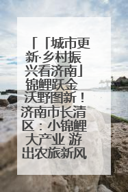 「城市更新·乡村振兴看济南」锦鲤跃金 沃野图新！济南市长清区：小锦鲤大产业 游出农旅新风景