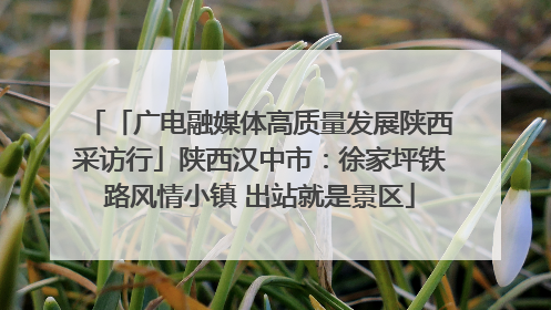 「广电融媒体高质量发展陕西采访行」陕西汉中市：徐家坪铁路风情小镇 出站就是景区