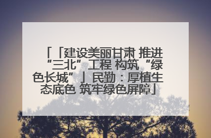 「建设美丽甘肃 推进“三北”工程 构筑“绿色长城”」民勤：厚植生态底色 筑牢绿色屏障