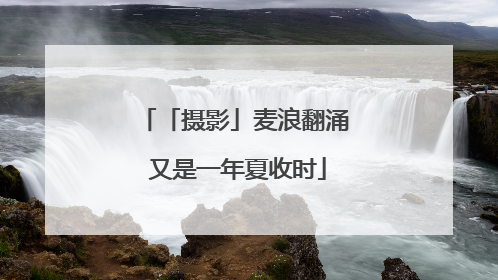 「摄影」麦浪翻涌 又是一年夏收时