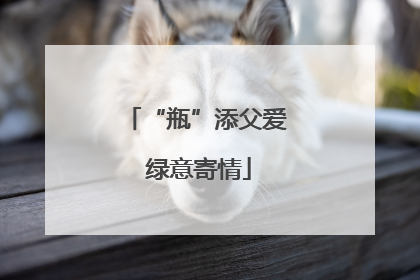 “瓶”添父爱 绿意寄情