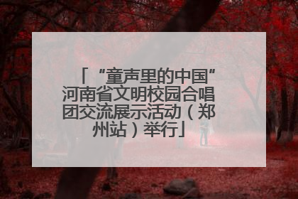 “童声里的中国”河南省文明校园合唱团交流展示活动（郑州站）举行