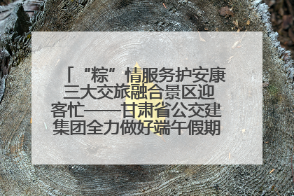 “粽”情服务护安康 三大交旅融合景区迎客忙——甘肃省公交建集团全力做好端午假期景区运营工作