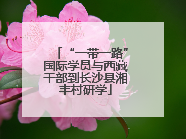 “一带一路”国际学员与西藏干部到长沙县湘丰村研学