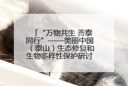 “万物共生 善泰同行”——美丽中国（泰山）生态修复和生物多样性保护研讨会成功举办