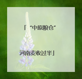 “中原粮仓”河南麦收过半