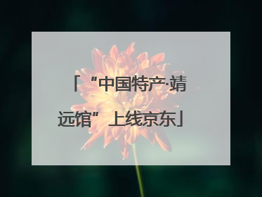 “中国特产·靖远馆”上线京东