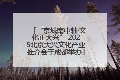 “京城南中轴·文化正大兴” 2025北京大兴文化产业推介会于成都举办