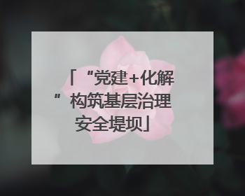“党建+化解”构筑基层治理安全堤坝