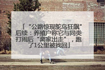 “公路惊现鸵鸟狂飙”后续：养殖户称它与同类打闹后“离家出走”，跑了1公里被找回