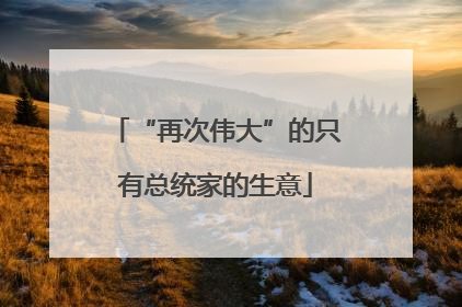 “再次伟大”的只有总统家的生意