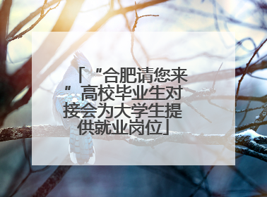 “合肥请您来”高校毕业生对接会为大学生提供就业岗位