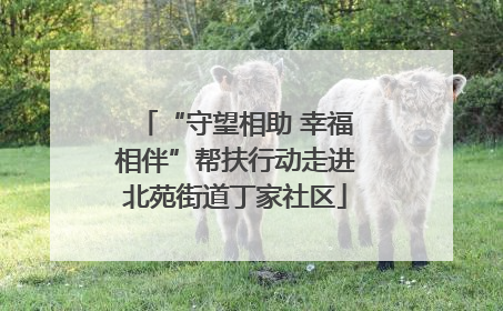 “守望相助 幸福相伴”帮扶行动走进北苑街道丁家社区