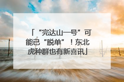 “完达山一号”可能已“脱单”！东北虎种群也有新喜讯