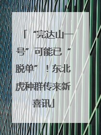 “完达山一号”可能已“脱单”！东北虎种群传来新喜讯