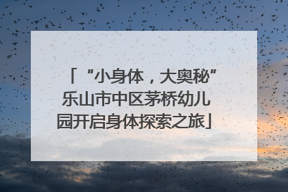 “小身体，大奥秘” 乐山市中区茅桥幼儿园开启身体探索之旅