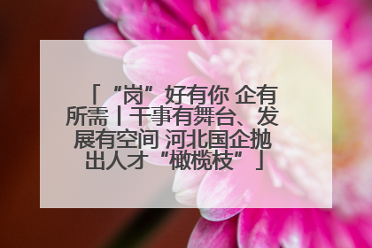 “岗”好有你 企有所需丨干事有舞台、发展有空间 河北国企抛出人才“橄榄枝”