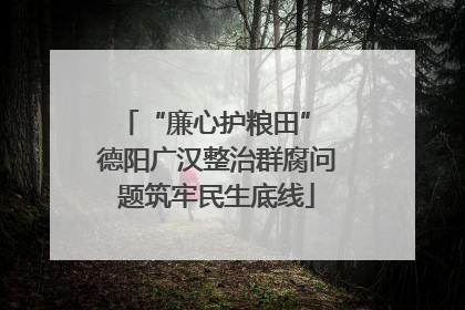 “廉心护粮田” 德阳广汉整治群腐问题筑牢民生底线