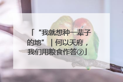 “我就想种一辈子的地”｜何以天府，我们用粮食作答②