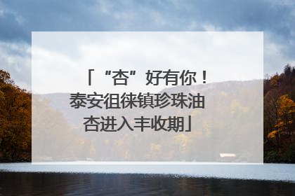 “杏”好有你！泰安徂徕镇珍珠油杏进入丰收期