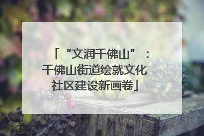 “文润千佛山”：千佛山街道绘就文化社区建设新画卷