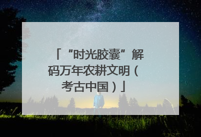 “时光胶囊”解码万年农耕文明（考古中国）