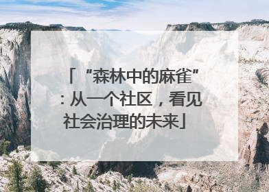“森林中的麻雀”：从一个社区，看见社会治理的未来