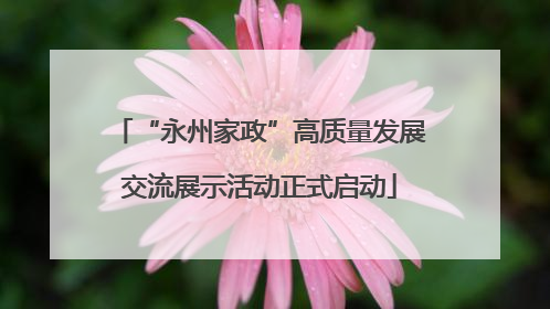 “永州家政”高质量发展交流展示活动正式启动