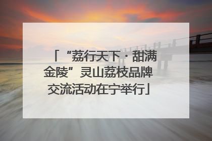 “荔行天下・甜满金陵”灵山荔枝品牌交流活动在宁举行