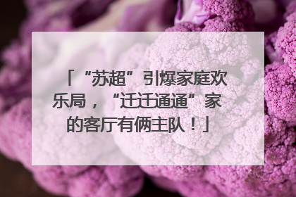 “苏超”引爆家庭欢乐局，“迁迁通通”家的客厅有俩主队！