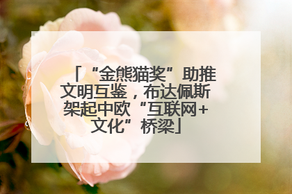 “金熊猫奖”助推文明互鉴，布达佩斯架起中欧“互联网+文化”桥梁
