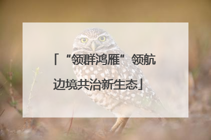 “领群鸿雁”领航边境共治新生态