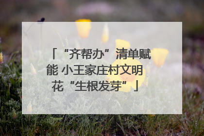 “齐帮办”清单赋能 小王家庄村文明花“生根发芽”