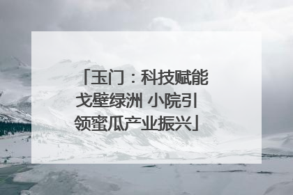 玉门：科技赋能戈壁绿洲 小院引领蜜瓜产业振兴