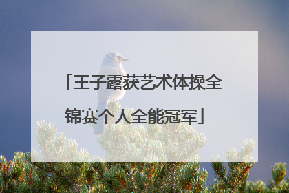 王子露获艺术体操全锦赛个人全能冠军