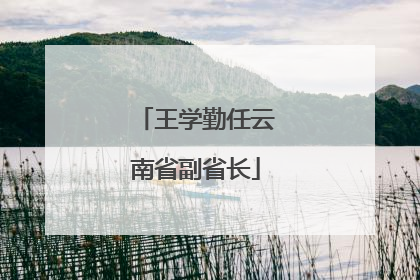 王学勤任云南省副省长