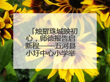 烛耀珠城映初心，师德报告启新程——五河县小圩中心小学举行师德报告会