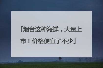烟台这种海鲜，大量上市！价格便宜了不少