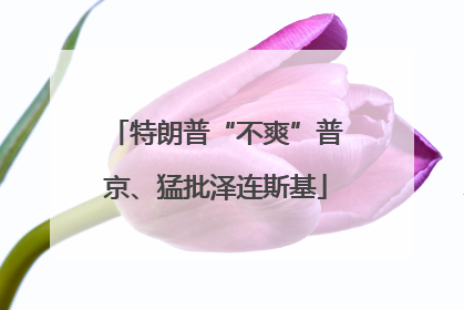特朗普“不爽”普京、猛批泽连斯基