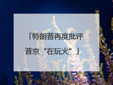 特朗普再度批评普京“在玩火”