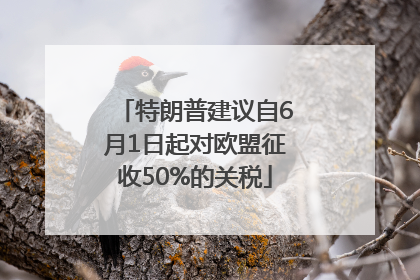 特朗普建议自6月1日起对欧盟征收50%的关税
