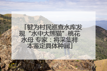 犍为村民巡查水库发现“水中大熊猫”桃花水母 专家：将采集样本鉴定具体种属