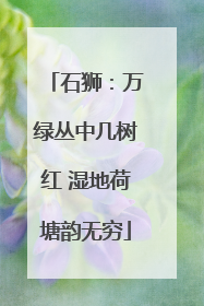 石狮：万绿丛中几树红 湿地荷塘韵无穷