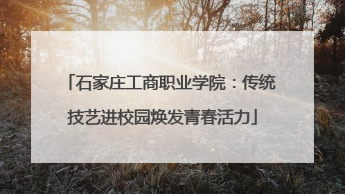 石家庄工商职业学院：传统技艺进校园焕发青春活力