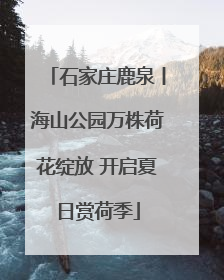 石家庄鹿泉丨海山公园万株荷花绽放 开启夏日赏荷季