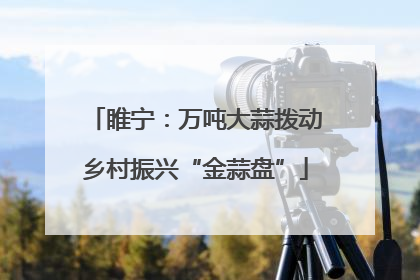 睢宁：万吨大蒜拨动乡村振兴“金蒜盘”