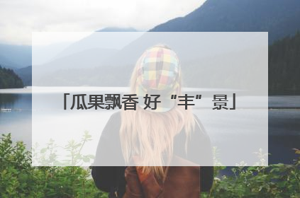 瓜果飘香 好“丰”景